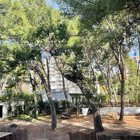 Lc Voramar Beachfront Benicassim